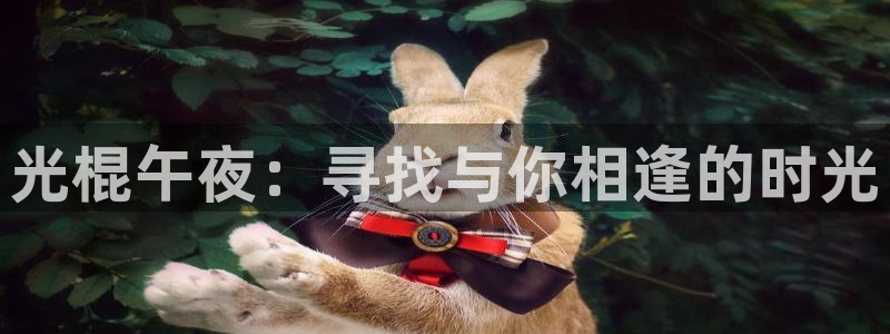 麻豆电影电影网
