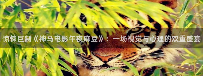 麻豆电影电视剧免费播放高清