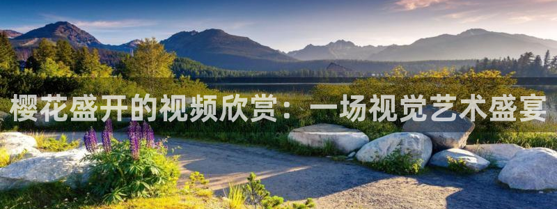 观看星空