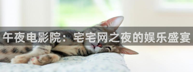 麻豆电影私人影院