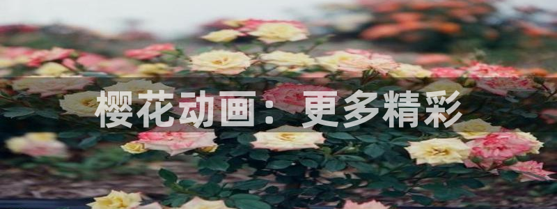 关于星空