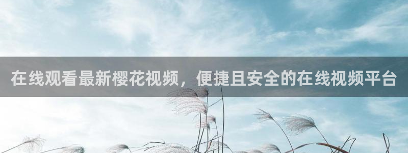 麻豆电影在线观看全集免费高清电影