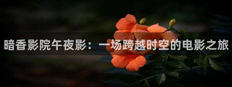 麻豆电影最新电影免费看