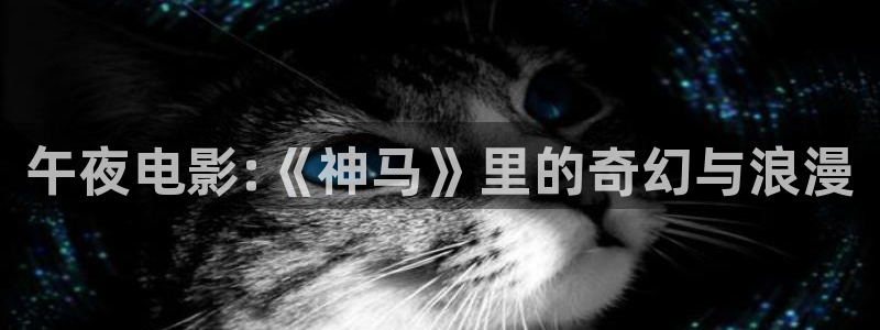 麻豆电影电视剧免费大全