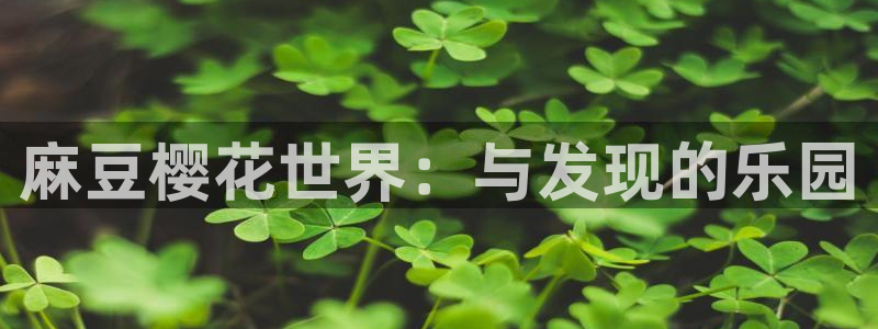 星空影视在线看