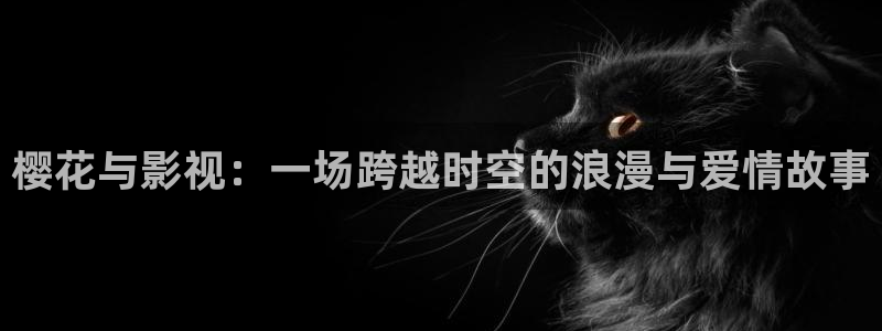 麻豆电影电影免费观看