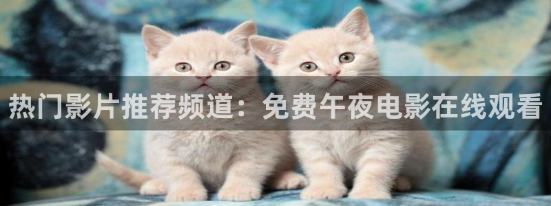 麻豆电影樱花