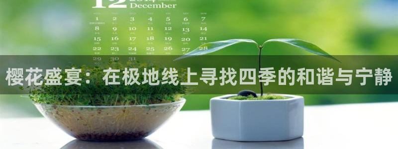 星空电影电影在线观看