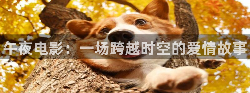 毒液在线观看麻豆电影