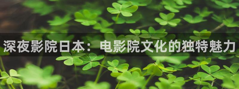 星空看片