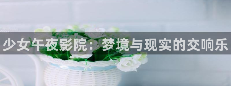 星空影视在线观看免费播放电视剧