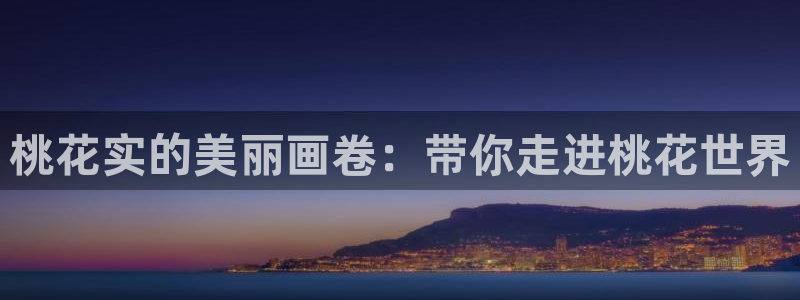 麻豆电影在线观看免费版电视剧全集