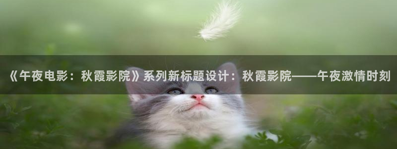 麻豆电影在线观看电视剧电影