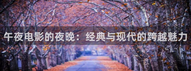 星空影视vip