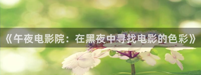 滤镜免费观看麻豆电影
