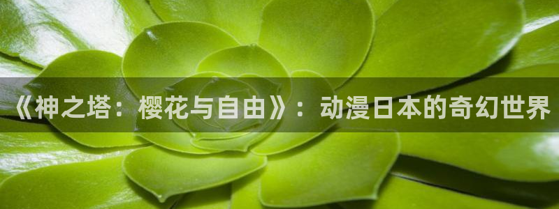 星空影视vip破解版