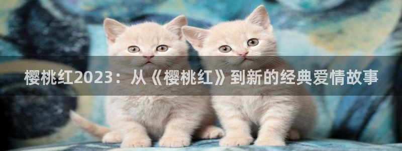 星空影视免费在线观看