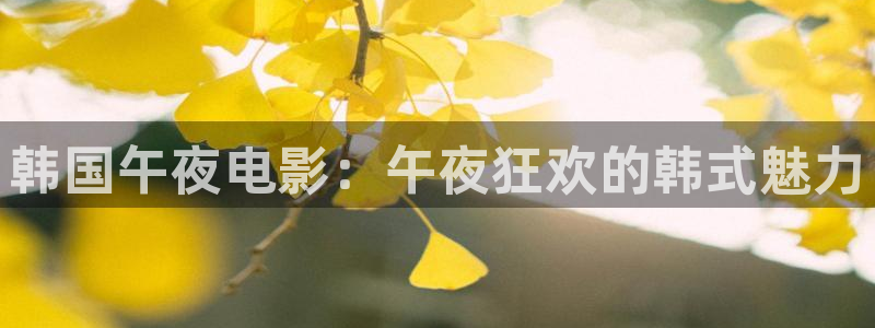 星空的视频