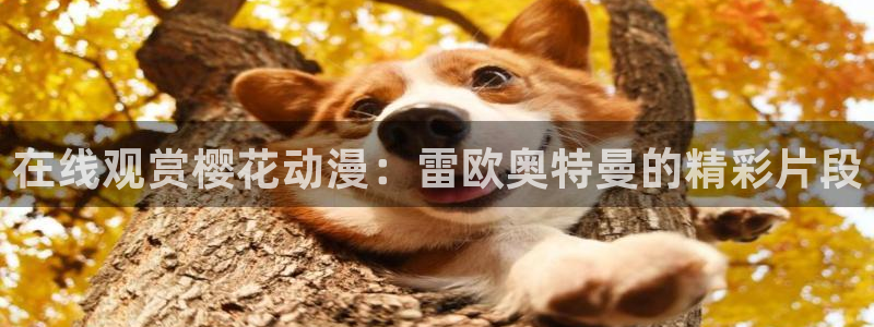 星空视频在线观看免费播放电影