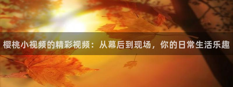 免费观看麻豆电影