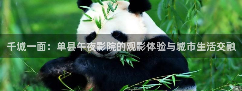 星空星辰影院官网入口