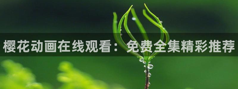 麻豆电影2024