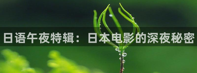 麻豆电影高清电影热播电视剧